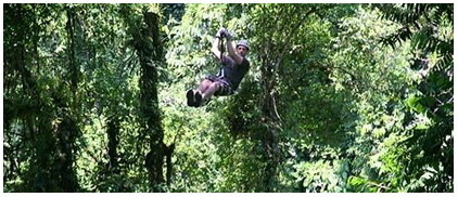 Finca Zipline