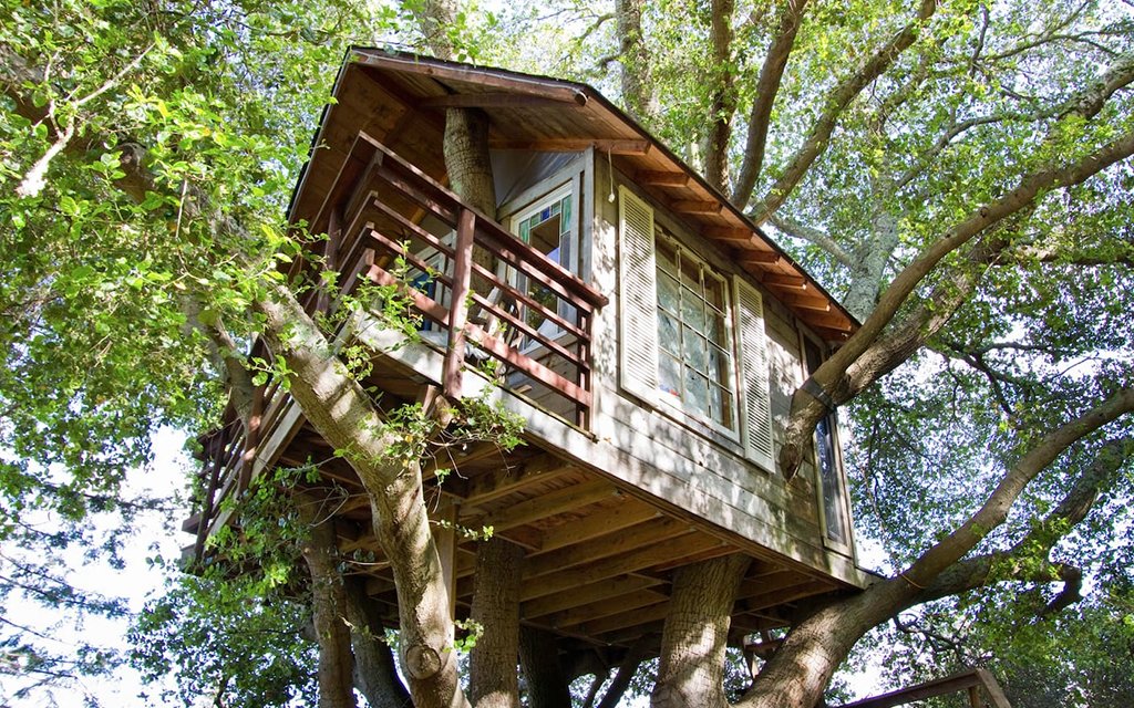 Bay Area Treehouse Rentals InsideHook